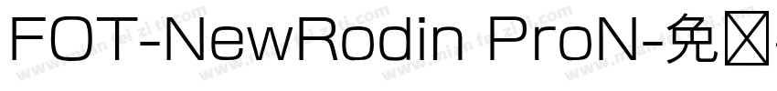 FOT-NewRodin ProN字体转换